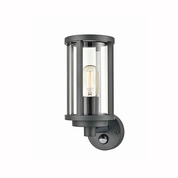 Delisha PIR Charcoal Grey Cage Effect Outdoor Wall Light FRA104