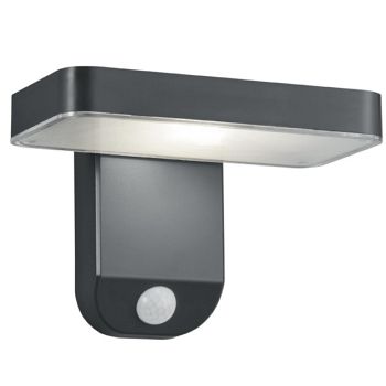 Esquel LED Solar Powered IP44 Anthracite Outdoor Wall Light R22261142