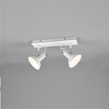 Roxie Double Ceiling Mounted Spotlight 