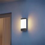 LED Anthracite Outdoor IP44 Wall Light L 271 digi C