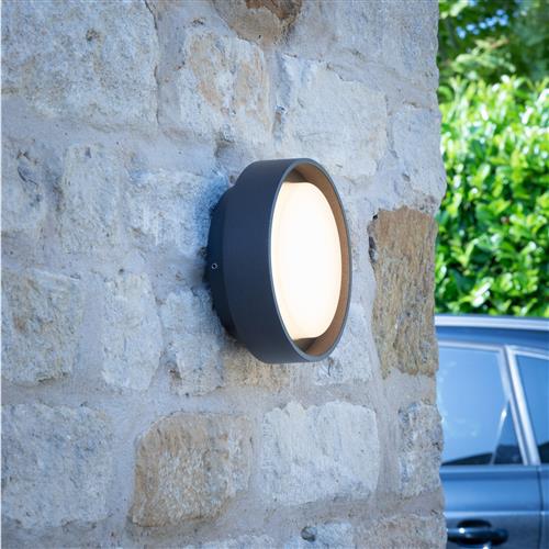 Ralph IP65 Anthracite Outdoor Small LED Wall/Ceiling Light RAL5239