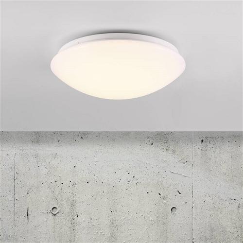 Ask 28 IP44 Small LED Bathroom Wall/Ceiling Light 45356001