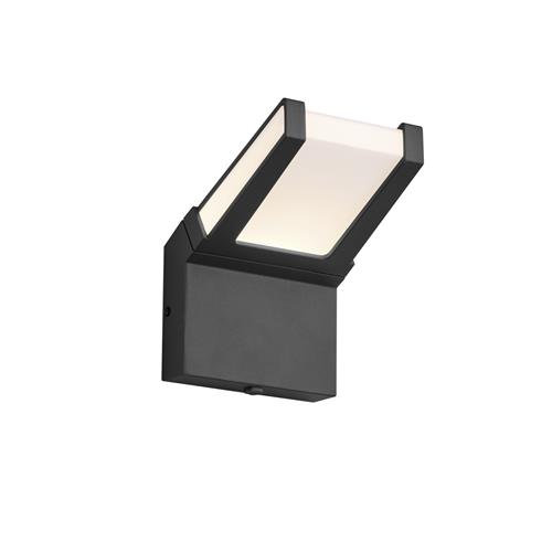 Gambia IP54 LED Anthracite Outdoor Wall Light 223669142