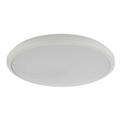 Emmet White IP44 Bathroom LED Ceiling/Wall Light Emm522