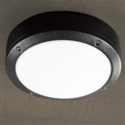Desi 22 Black IP44 Flush Ceiling Light 77636003