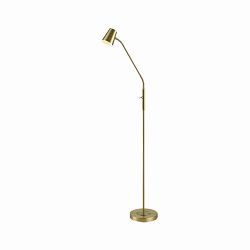 Dayna Reading Floor Lamps