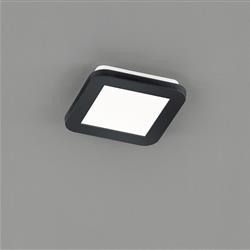 Camillus IP44 LED Small Squared Ceiling Fitting