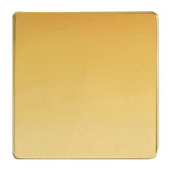 Polished Brass Blanking Plate XDVSBS