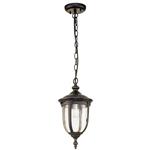 Cleveland Weathered Bronze IP44 Small Outdoor Pendant CL8-S