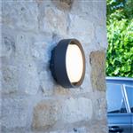 Ralph IP65 Anthracite Outdoor Small LED Wall/Ceiling Light RAL5239