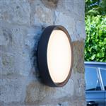 Ralph Large IP65 Anthracite Outdoor LED Wall/Ceiling Light RAL5039