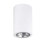 Ges White Cylindrical Ceiling spotlight 15-5946-14-00