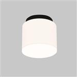 Spark Small LED 140mm Black And White Ceiling Light 15-A125-05-F9