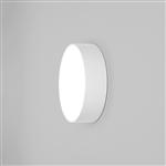 Delta IP65 Rated LED White 250 Outdoor Wall Light 1391003