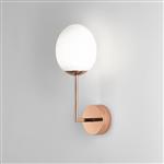 Kiwi LED Polished Copper IP44 Bathroom Wall Light 1390001 (8008)