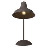 Andy Rusty Brown Table Lamp 48485009