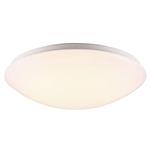 Ask LED Flush Bathroom Ceiling Light 45376001