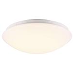Ask 28 Medium LED Bathroom Wall/Ceiling Light 45356001