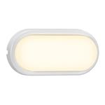 Cuba LED White Outdoor Oval Wall Or Ceiling Light 2019181001
