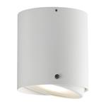 LED Ceiling Spotlight IP S4