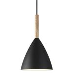 Pure 20 Design For The People Medium Black & Ash Wood Pendant 43293003