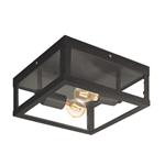 Alamonte 1 Outdoor Black Wall/Ceiling Light 94832