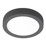 Argolis Anthracite Outdoor LED Wall Or Ceiling Light 96492