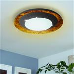 Canicosa 2 LED Black/Gold Flush Ceiling/Wall Light 98527