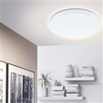 Frania LED Dedicated 330mm Wall Or Ceiling White Light 97872