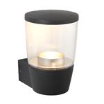 Canillo IP44 Outdoor Anthracite Wall Light 67697