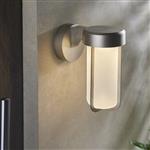 Brushed Silver Exterior/Bathroom IP44 LED Wall Light Arum-WLSO