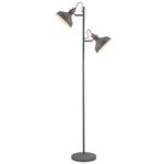 Harminder Grey & Copper Double Floor Lamp BAR7720