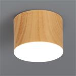 Vander Oval-Faced LED Ceiling Light