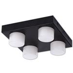 Wilbert LED Black Bathroom Fixed 4 Light Ceiling Fitting BOL8218