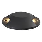 Xaveria Double Anthracite Surface LED Drive-Over Light RID7824