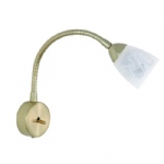 Arccardia Satin Brass Flexible Wall Light 6408-60