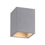 Eton Grey Concrete Rectangular Ceiling Fitting 6161-22