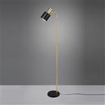 Adam Black And Gold Adjustable Head Floor Lamp R41041080