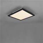 Alpha Matt Black LED Small Flush Ceiling Fitting R62323032