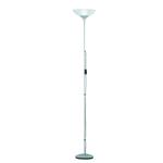 Dezwo Titan Grey & White Floor Lamp R4302-87