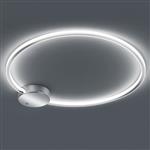 Dragon RGBW LED Wall or Ceiling Light 620210206