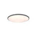 Limbus Large Titan Grey Flush Ceiling Light R67021987