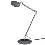 Roderic LED Table Desk Lamps